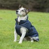 Bucas Freedom Dog Blanket 50, Navy