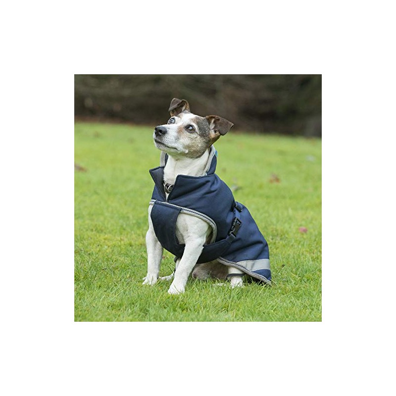 Bucas Freedom Dog Blanket 50, Navy