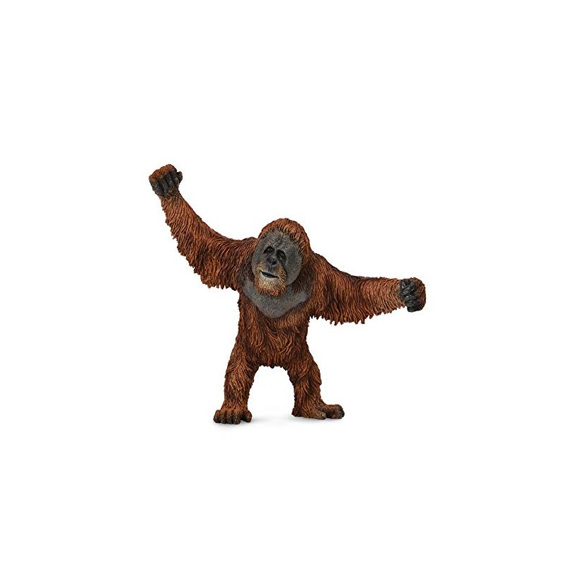 Collecta – col88730 – Wild Orang Outan – L