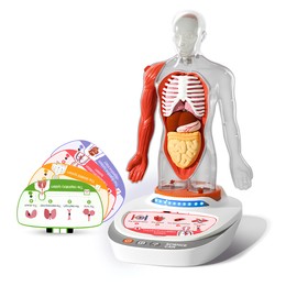 ScienceCan 3D Model of the Human Body - A Knowledge Journey with Quiz and Sound - from 6 Years - 1600222022de0001