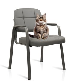 CLATINA Leather Stationary Office Reception Guest Chair, Comfy Waiting Room Chairs with Padded Arms for Reception Conference Elderly Side Office Desk Home Conference Room Lobby Table, Grey