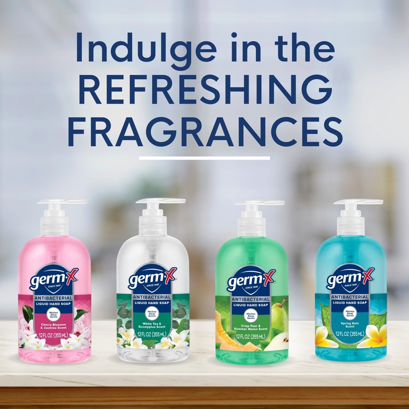 Germ-X Antibacterial Hand Soap, Moisturizing Liquid Hand Wash for Kitchen,