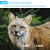 GardePro A50 Wildlife Camera, Ultra-HD 4K Sensor, Low Light Sensitivity,