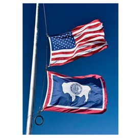 Wyoming State Flag 3x5 Ft Outdoor, 3 Ply Polyester Wyoming WY Flags Double Sided, Heavy Duty State of Wyoming Flags with 2 Brass Grommets