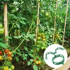 Pack of 200 Plant Clips - High Quality Plastic Tomato