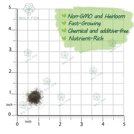 Premium Mullein Seeds (Verbascum thapsus) – 150+ Non-GMO Heirloom Seeds for Fast-Growing, Medicinal Plants – Easy to Grow & Resilient