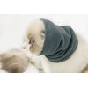 DDFS Cat Ear Cover Ear Wrap Hematoma Compression Keep Calm