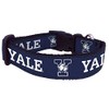 College Dog Collar (Large, Yale)