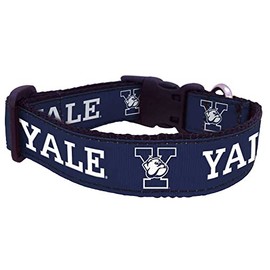 College Dog Collar (Large, Yale)