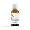 Ravinzara NATURELLE Natural Essential Oil (30ml, Commercial Use (Professional Use))