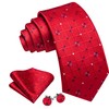 Barry.Wang Red Tie for Men Plaid Silk Necktie Pocket Square