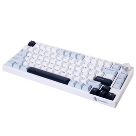Gamakay TK75 HE Hall Effect Rapid Trigger Magnetic Switch Mechanical Keyboard with Cherry PBT Keycaps, 81 Keys, Bluetooth/2.4GHz/Wired Options Gasket structure - Switch: Magnetic Mercury Switch