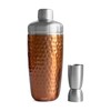 S'well Stainless Steel Shaker Set with Jigger, 18oz, Dipped Metallic,
