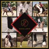 Kavallerie Dressage Horse Boots: Fleece-Lined Faux Leather Brushing Boots for