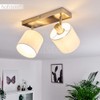 Alsen Light Series Ceiling Light in Various Designs
