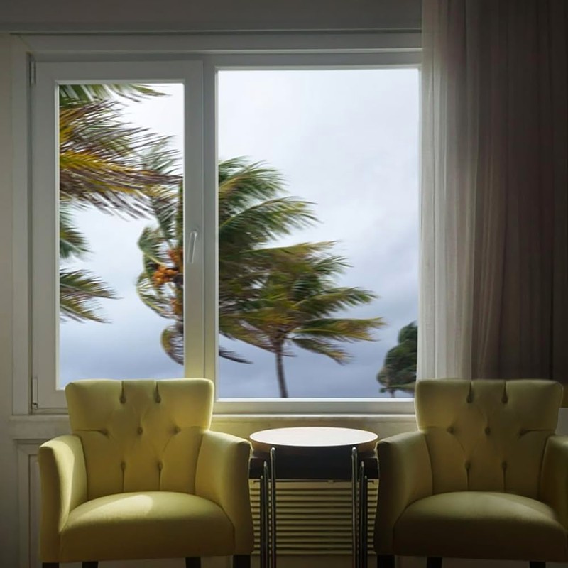 BDF S8MC Window Film Security and Safety 8 Mil Clear