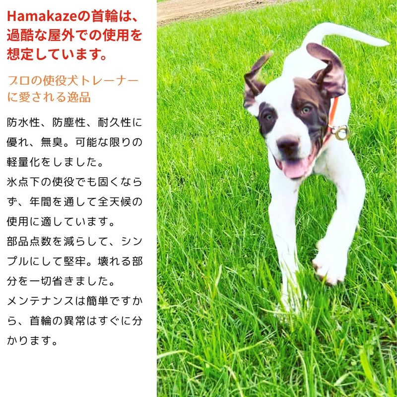 Webbing Collar Width 2.5mm Total Length 70cm Waterproof Outdoor Collar