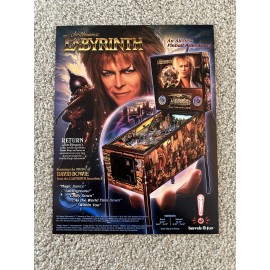 BARRELS OF FUN LABYRINTH PINBALL PROMO FLYER 2024 JIM HENSON DAVID BOWIE BARRELS OF FUN