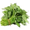 ZEshops 120pcs Water Spinach 'Kong Xin Cai' Seeds – Organic,