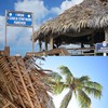 198'' x 16" Tiki Straw Roof Thatch –Mexican Style Artificial