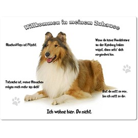 Merchandise for Fans Tin Sign / Warning Sign / Door Sign Aluminium 20 x 30 cm Welcome to My Home Motif: American / British Collie Lying - 01