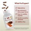 ANDREW LESSMAN Cinnamon 400mg - 60 Capsules - High Potency,