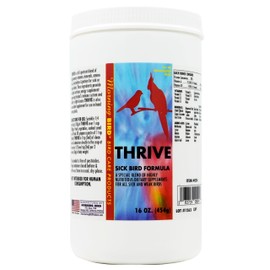 Morning Bird Thrive, Nutritious Energy Supplement with Minerals, Vitamins, Amino Acids, Electrolytes, and Protein, 16 oz