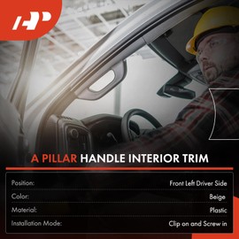 A-Premium Front Left A Pillar Grab Handle Molding Trim - Compatible with 2002-2010 Dodge Ram 1500 2500 3500 4500 5500 Pickup Truck - Replace 1TE75BD1AA, 1TE75TL2AA, 5GR29TL2AF, 5GR29TL2AG
