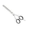 Aashta Hairdressing Scissors 5.5 Inches