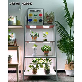 DOMMIA Plant Lamp, Pack of 3 Dimmable Plant Lamps, LED Full Spectrum with Optical Lens, Sun-Like Under Cabinet Plant Lamps with 6/12/16 Hour Timer, USB Adapter