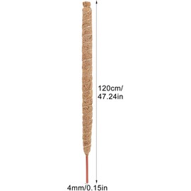 Genérico Tutor para Plantas Trepadoras, Poste De Musgo Plegable, Poste Flexible Y Reutilizable De Fibra De Coco, Musgo Y Palmeras Trepadoras, para Plantas, Enredaderas, Jardín Patio
