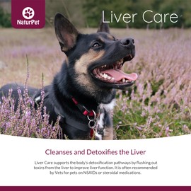 NaturPet Liver Care for Cats and Dogs | with Milk Thistle | Supports Body's Detoxification Processes | 100mL Herbal Tincture