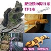 Sugarello Reptile Cave Climbing Tree Playground Driftwood Aquarium Terrarium Decoration