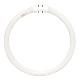 ProLume FC22T5/841 109082 FC22 T5 9IN CIRCLINE 4100K, 20 Piece