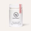 The Beauty Chef Gut Primer 140g - Soothe + Relieve