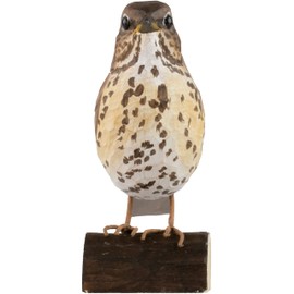 WILDLIFEGARDEN Wildlife Garden WG437 DecoBird Song Thrush - Hand Carved Decorative Wooden Bird - Medium European Birds