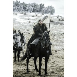 game of thrones jon snow house stark poster (24x36 inches)