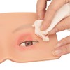 Práctica de Maquillaje 3D, Tablero de Práctica de maniquí de