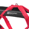 Non-stop dogwear FREEMOTION Harness 5.0 |111| Dog Harness for All