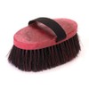 Horse Pony wather brush colorful with long bristles