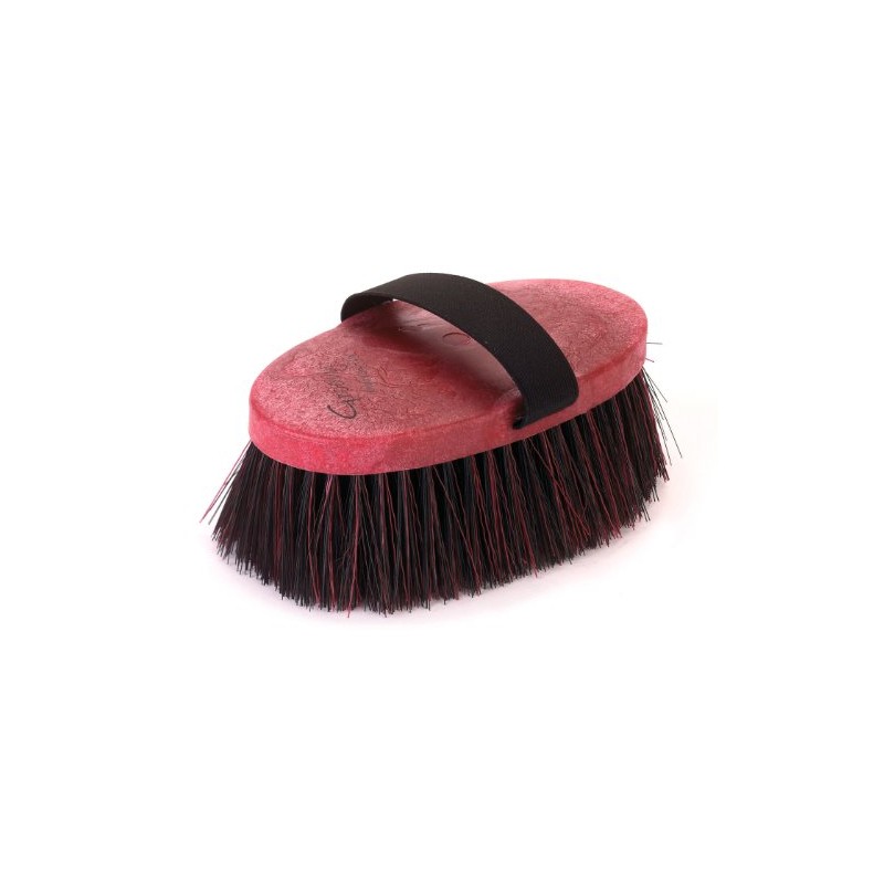 Horse Pony wather brush colorful with long bristles