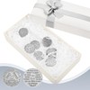 100 Pcs Recovery AA Chips and Medallions Bulk,Silver,24 Hours