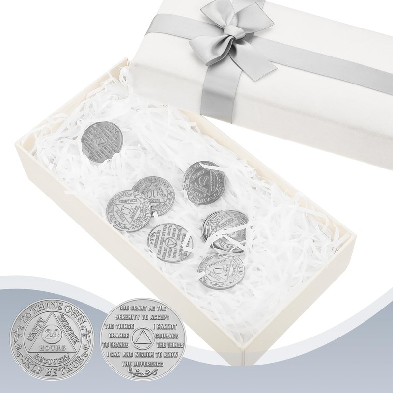 100 Pcs Recovery AA Chips and Medallions Bulk,Silver,24 Hours