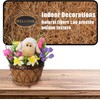 GOTVUGE Coir Liner Roll 30x200cm (12x80") - Natural Planter Box
