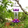 Hummingbird Feeders for Outdoors Hanging, BOLITE Glass Hummingbird Feeder, 4