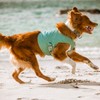 Hurtta Cooling Wrap Cooling Vest for Dogs, Summer Cooling Vest,