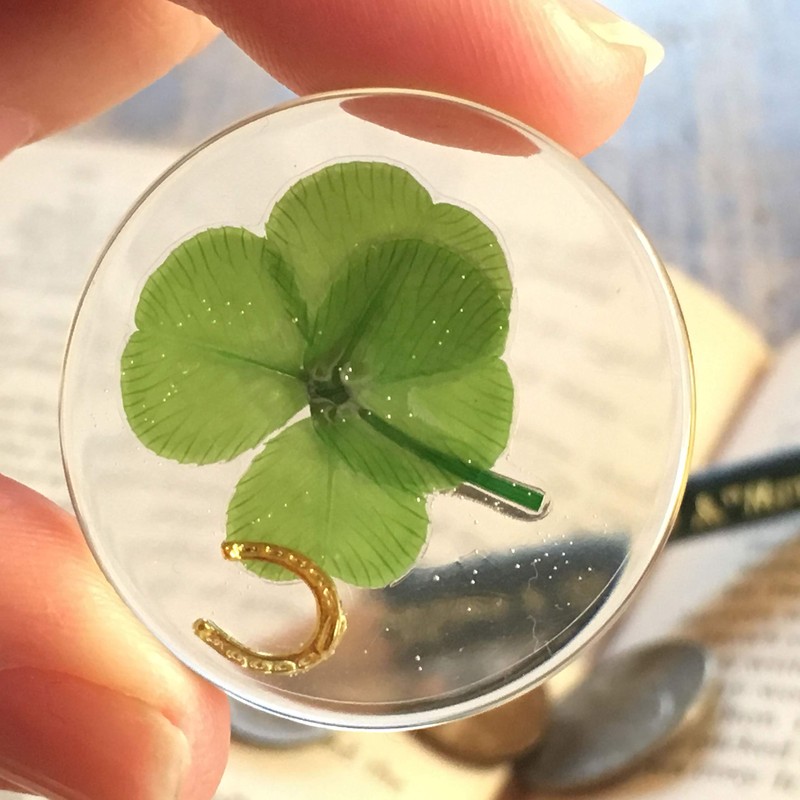Real Four Leaf Clover Good Luck Pocket Token, Preserved, 1.25”,