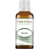 Basil Essential Oil 1 oz / 30 ml 100% Pure