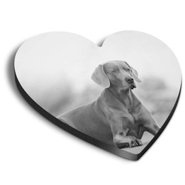1 x Heart MDF Magnets - Large Weimaraner Dog Puppy 37146