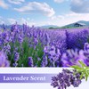 SCENTORINI Shelf Liners for Kitchen Cabinets Non-Adhesive, Lavender Scented Drawer